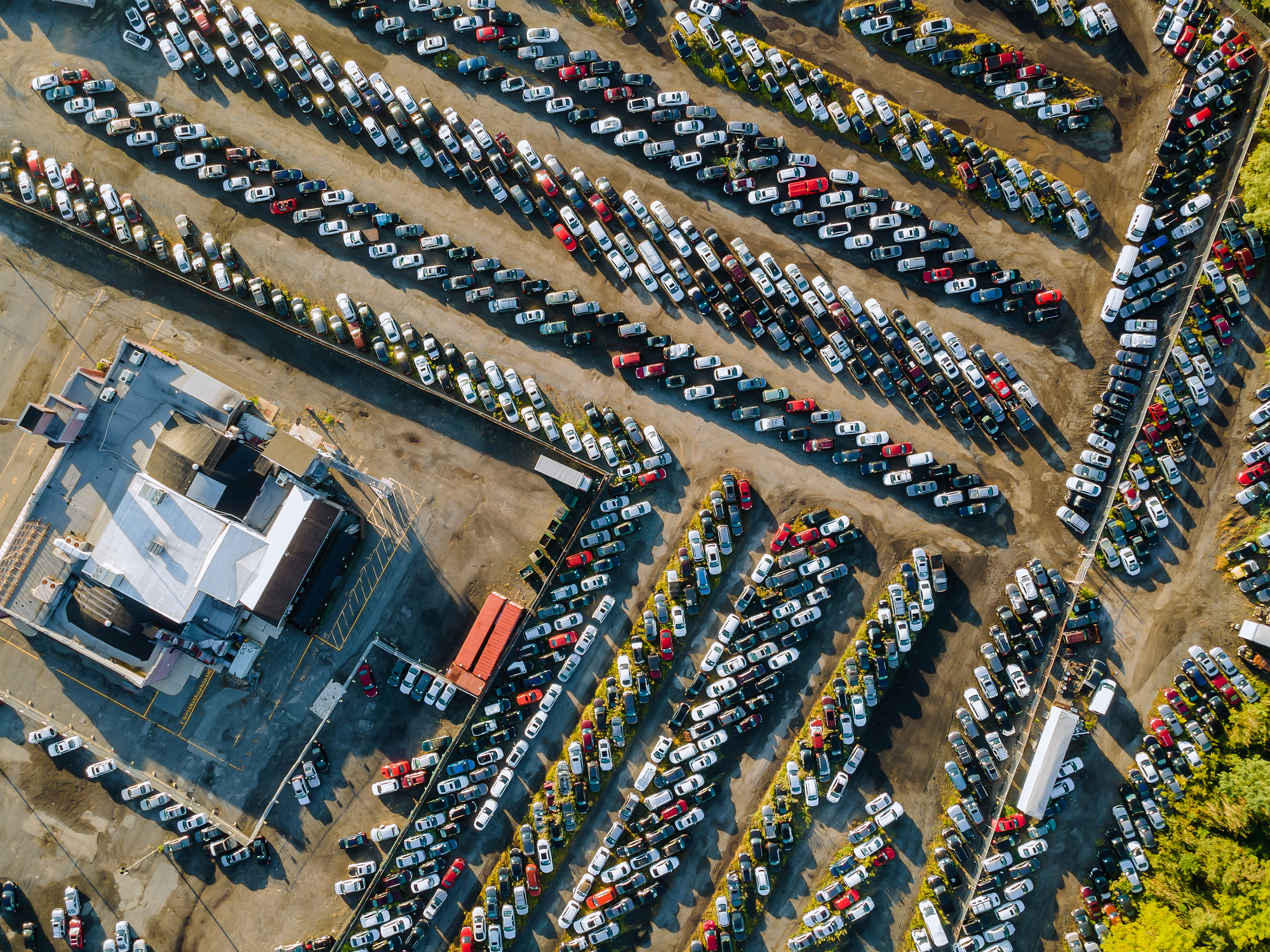 Auto Auction in Portland